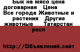 Бык на мясо цена договарная › Цена ­ 300 - Все города Животные и растения » Другие животные   . Татарстан респ.